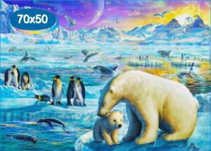 Раскраска арктика для детей #34 #207213
