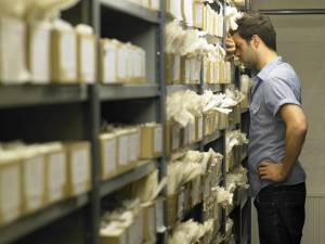 Раскраска архивом #17 #207736