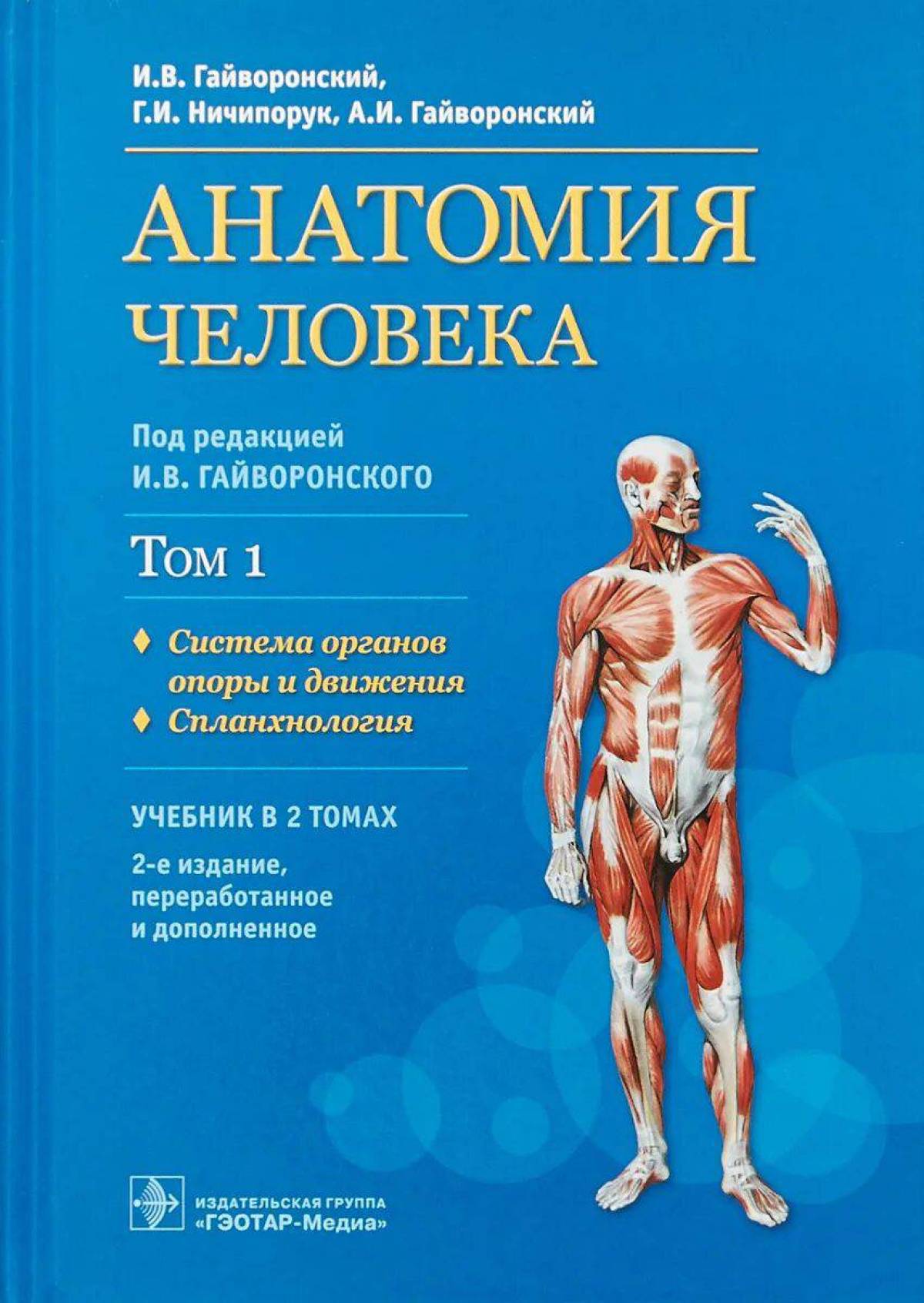 Гайворонский учебник. Гайворонский Ничипорук анатомия человека том 2. Анатомия и физиология человека и.в. Гайворонский, г.и. Ничипорук. Анатомия человека Гайворонский том 1. Гайворонский Ничипорук анатомия человека.