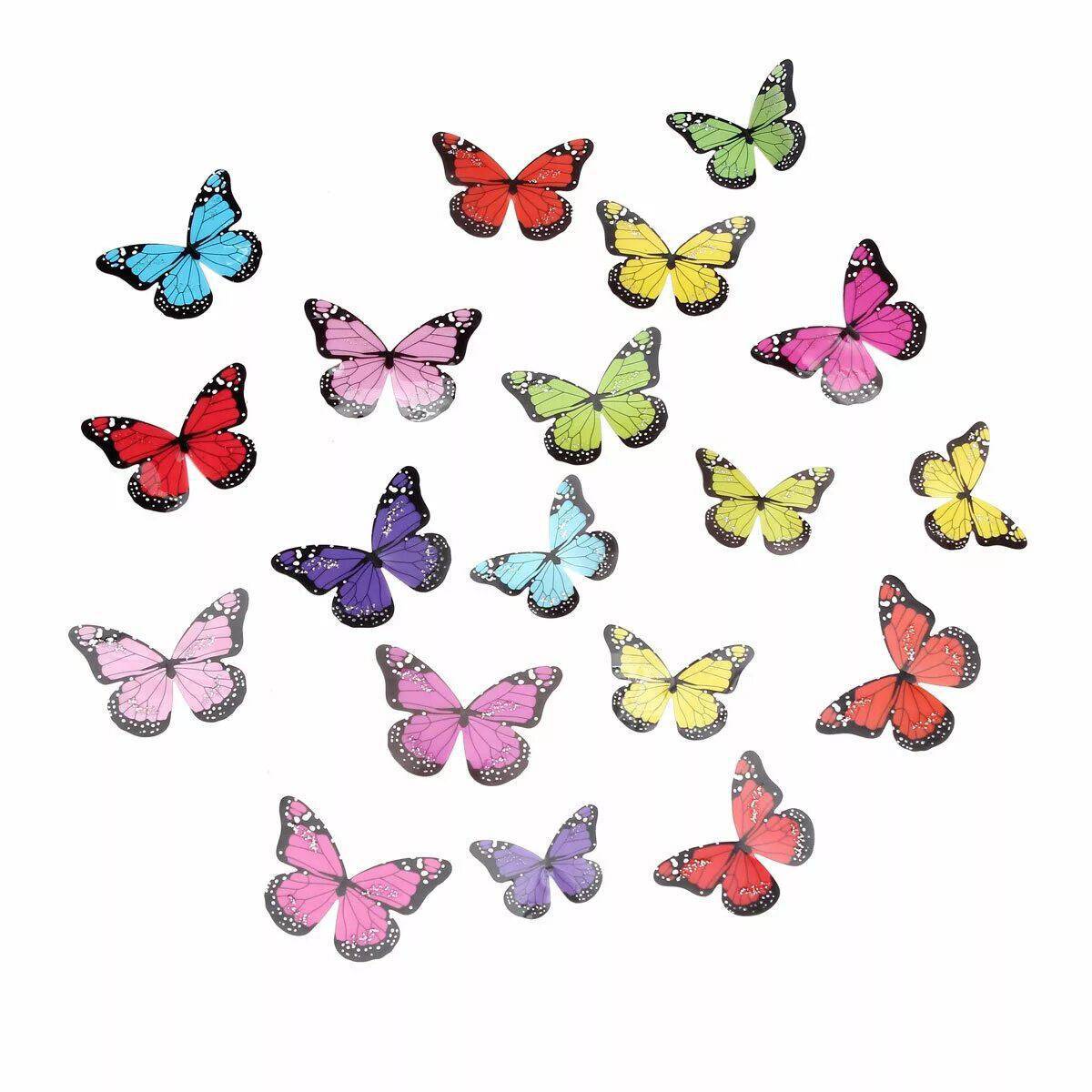 Бабочки маленькие #1