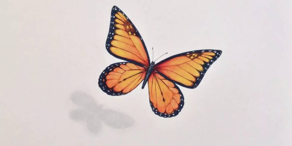 Бабочки маленькие #8