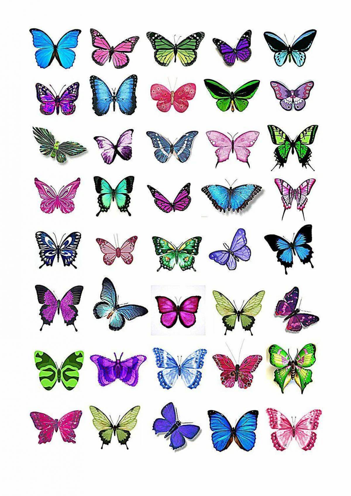 Бабочки маленькие #11