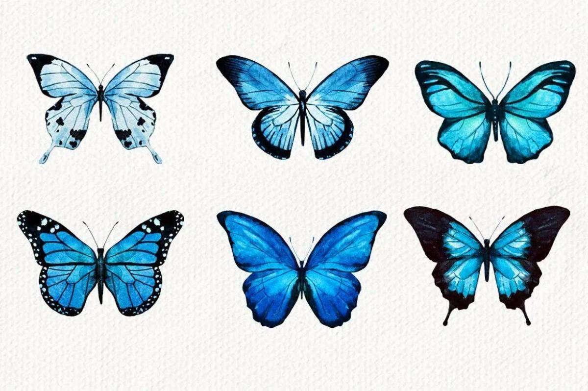 Бабочки маленькие #13