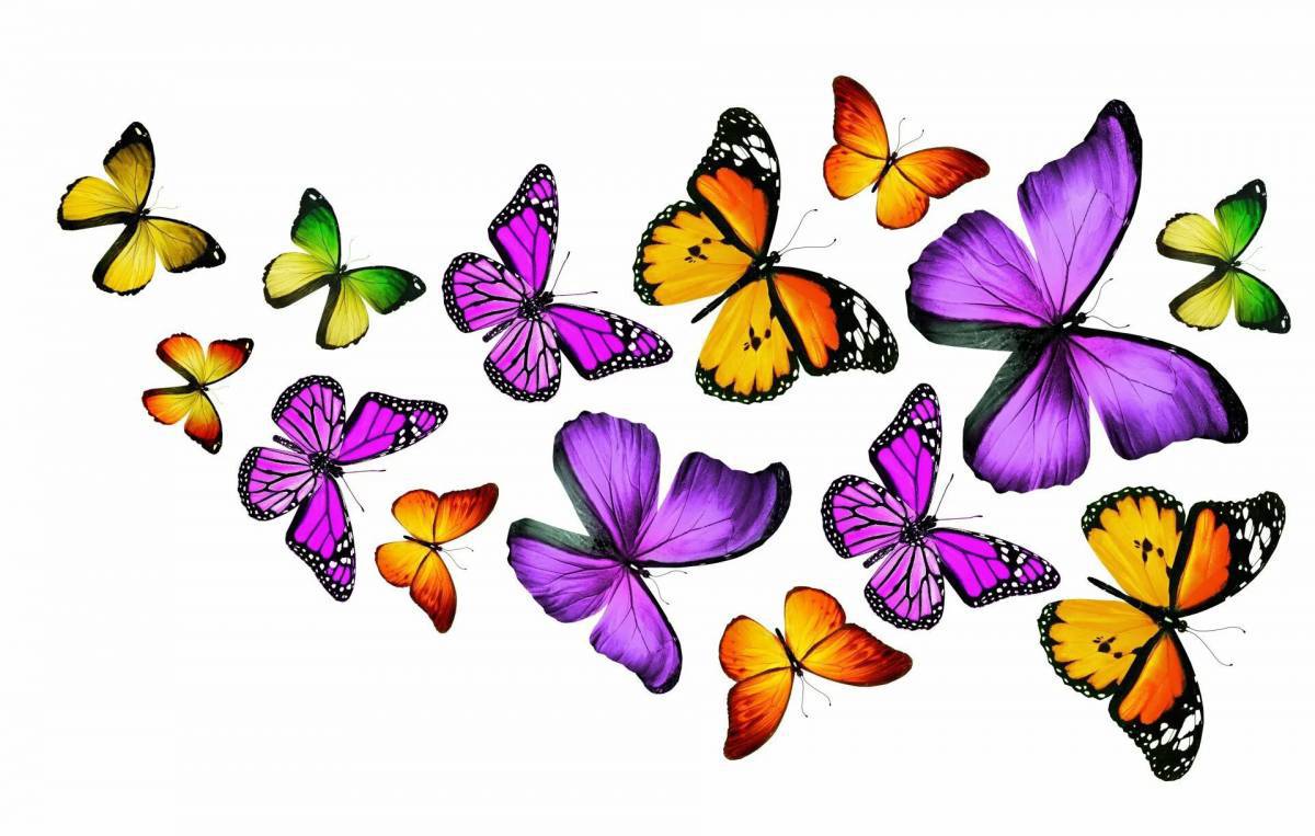 Бабочки маленькие #17