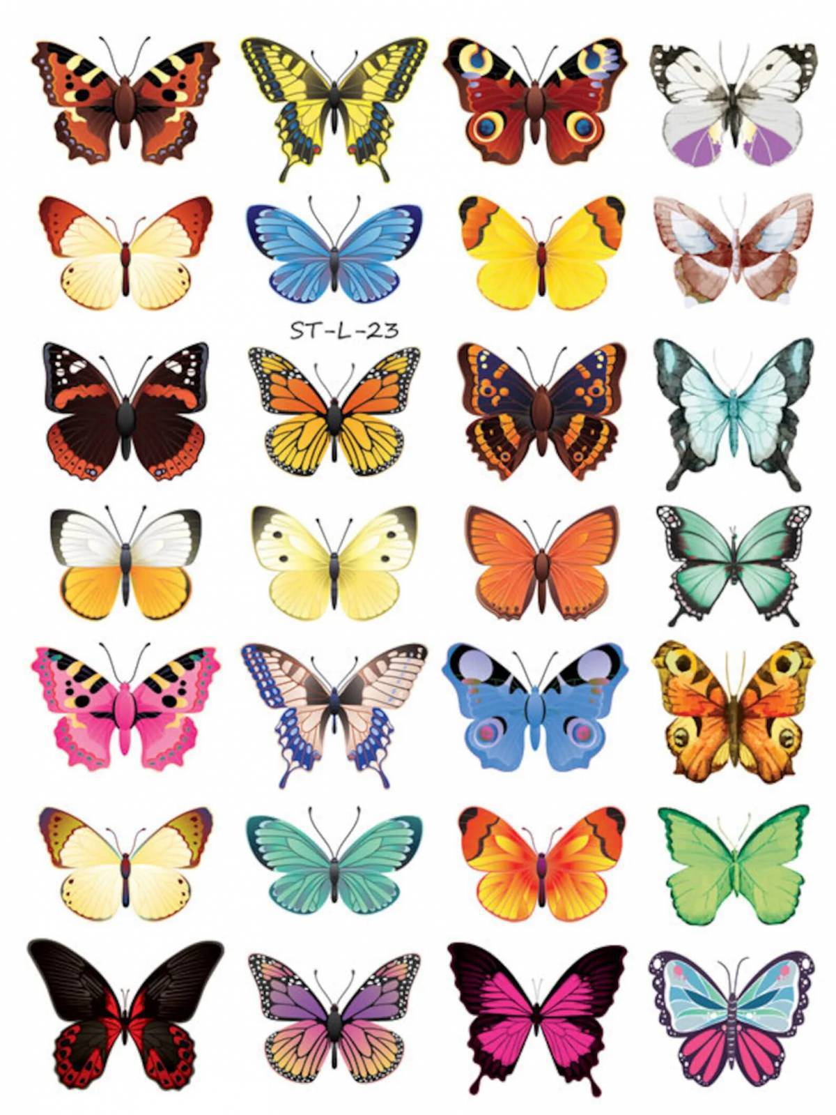 Бабочки маленькие #22