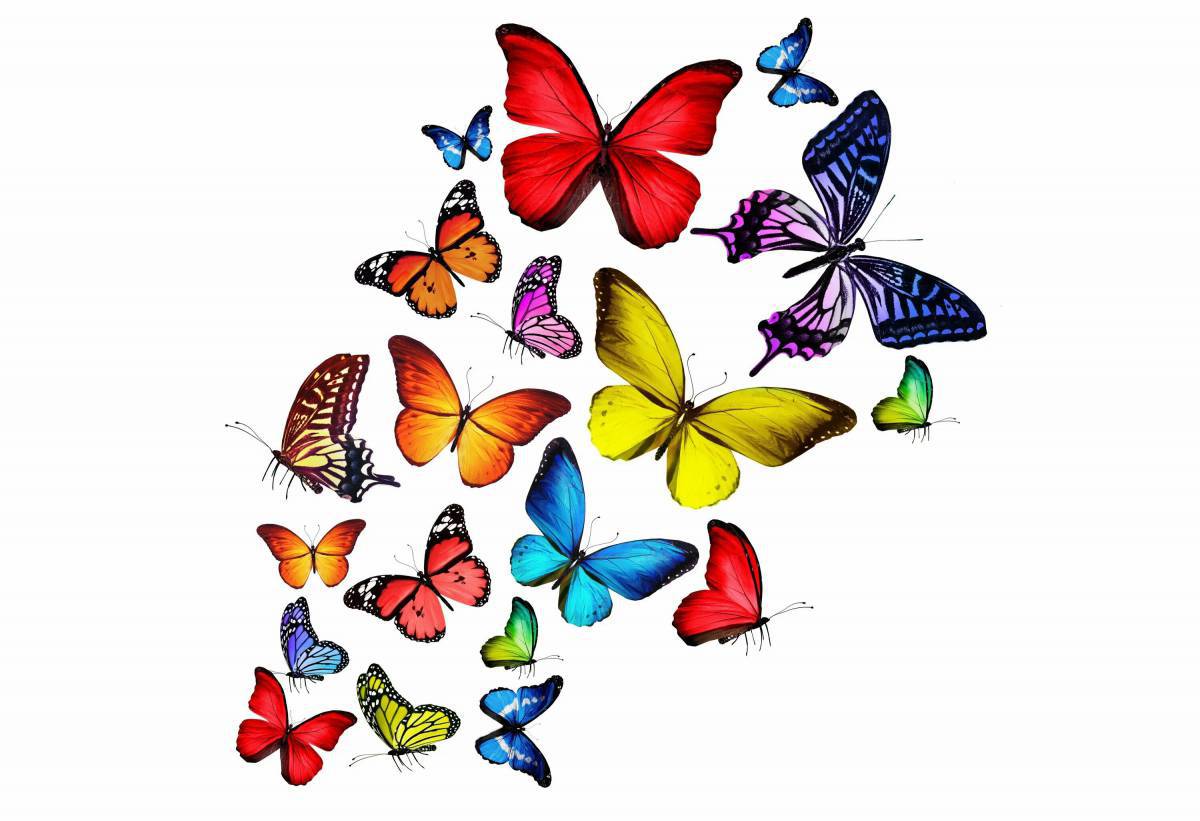 Бабочки маленькие #25
