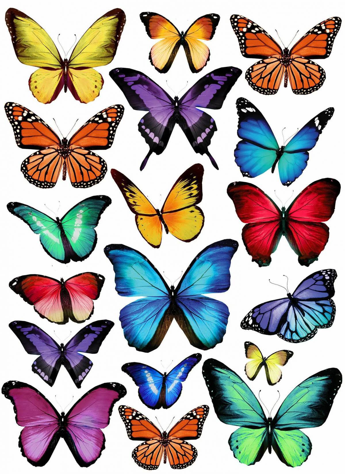 Бабочки маленькие #28