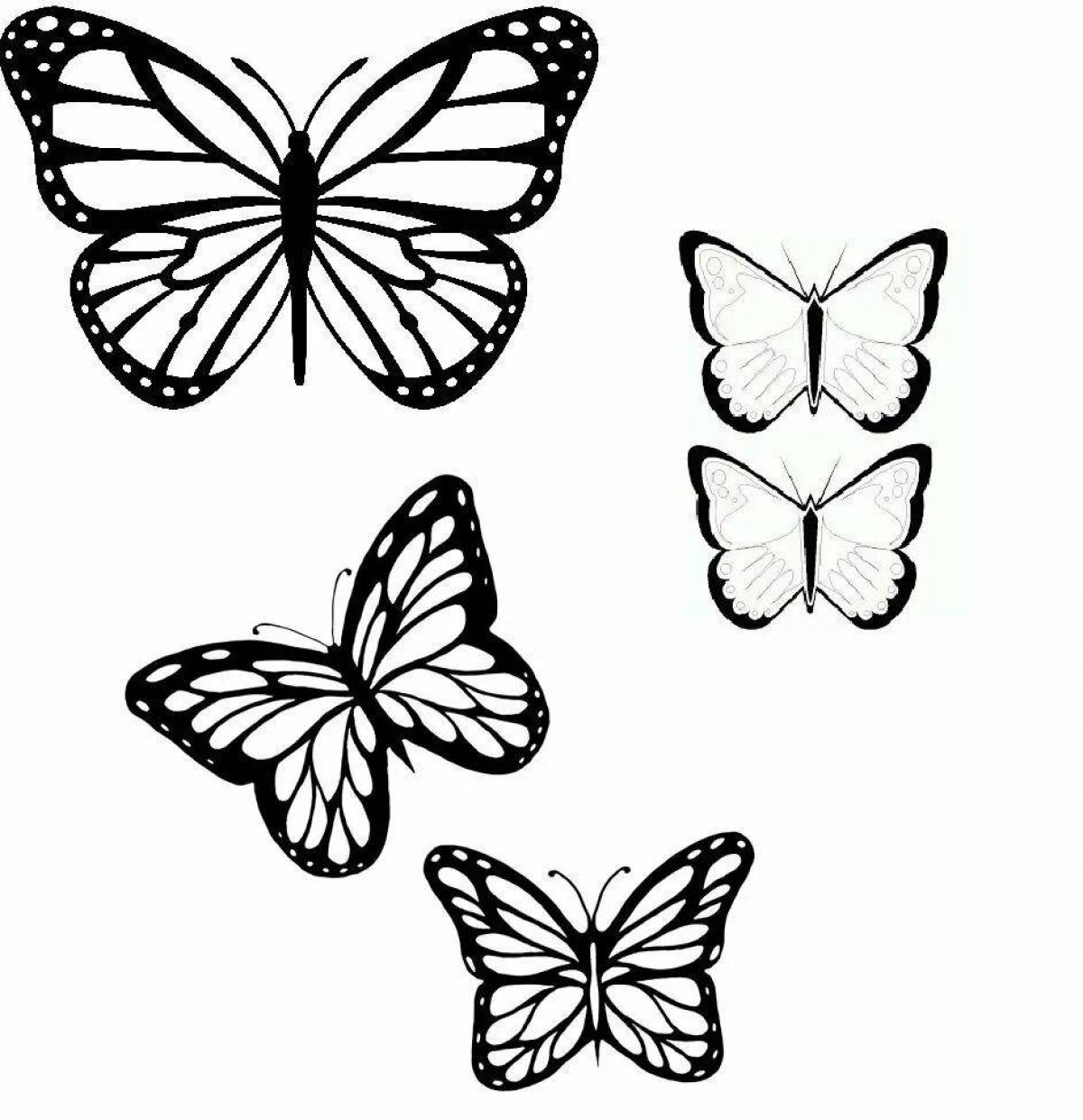 Бабочки маленькие #33