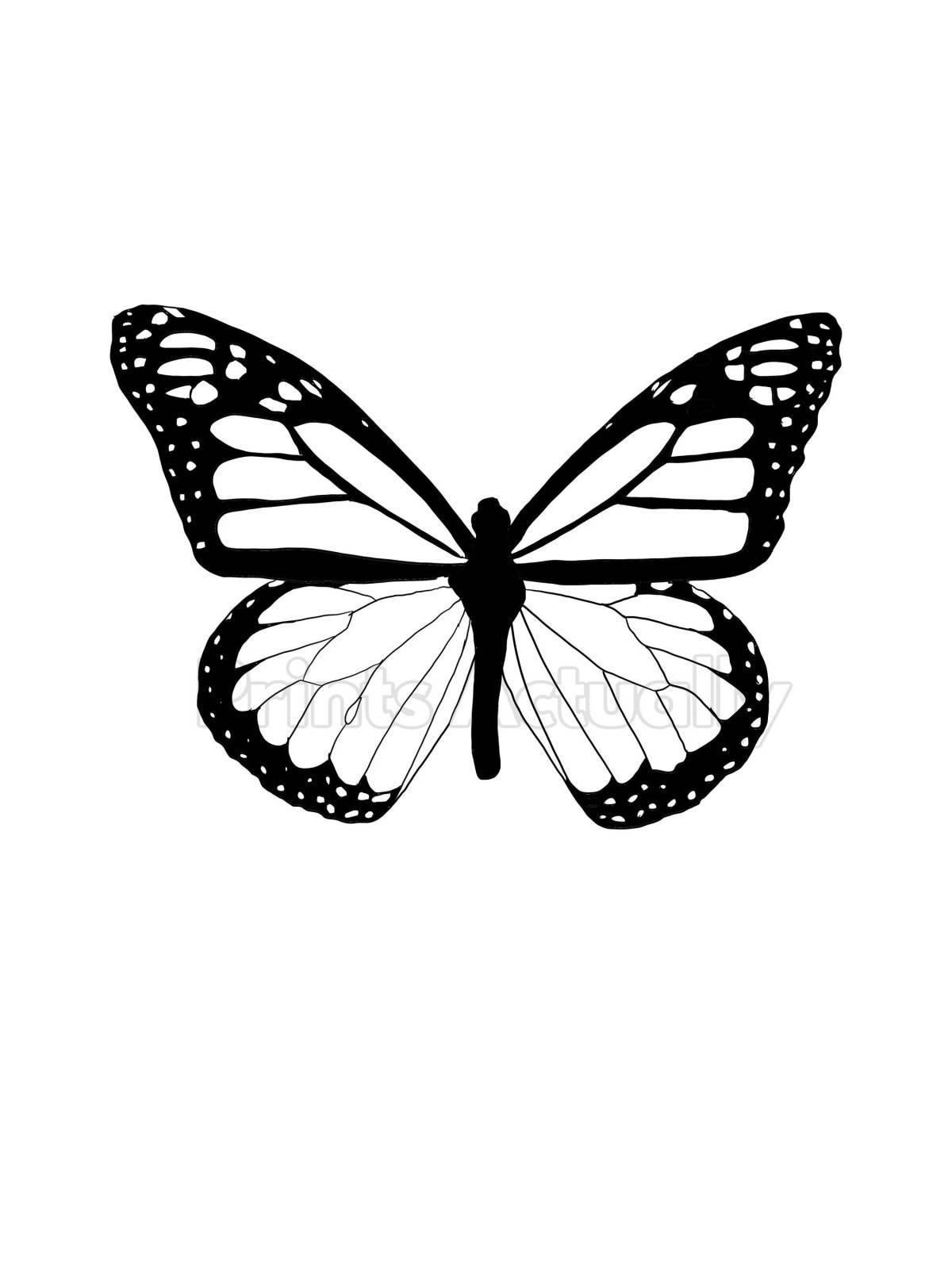 Бабочки маленькие #34