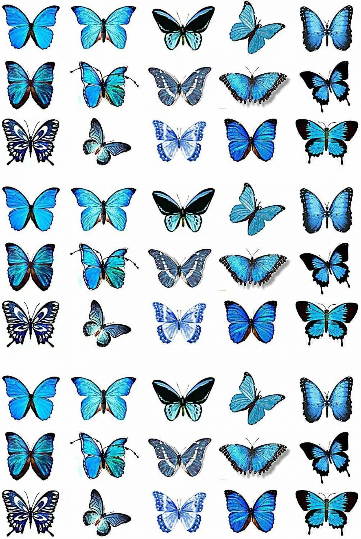 Бабочки маленькие #36