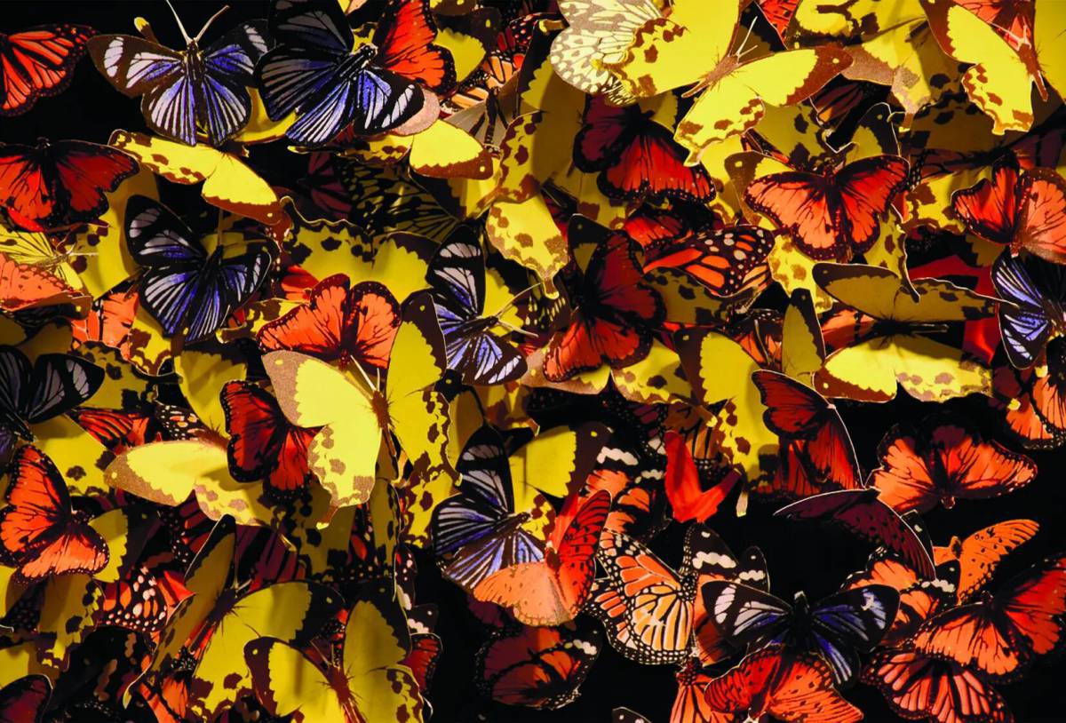 Бабочки много #18
