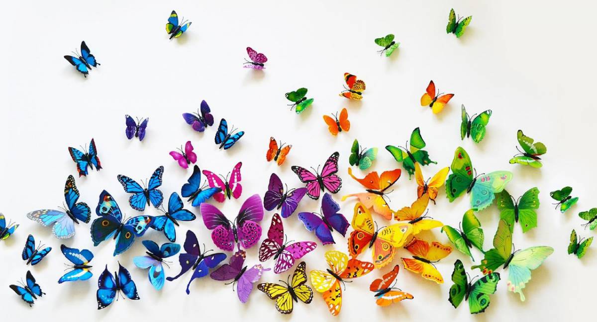 Бабочки много #20
