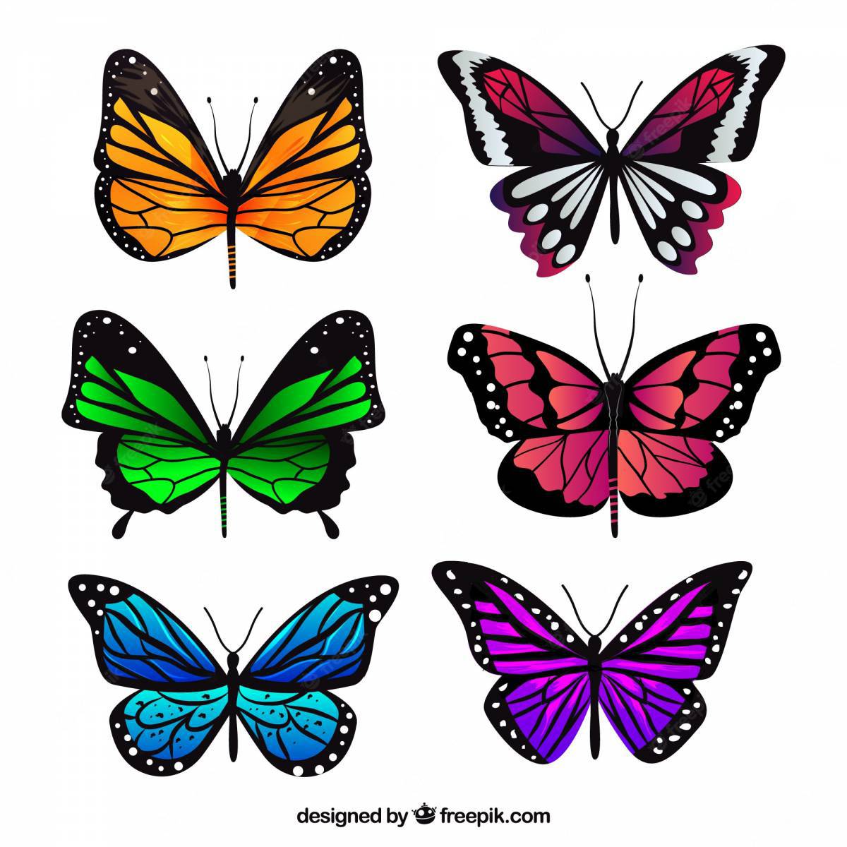 Бабочки много на одном листе #1