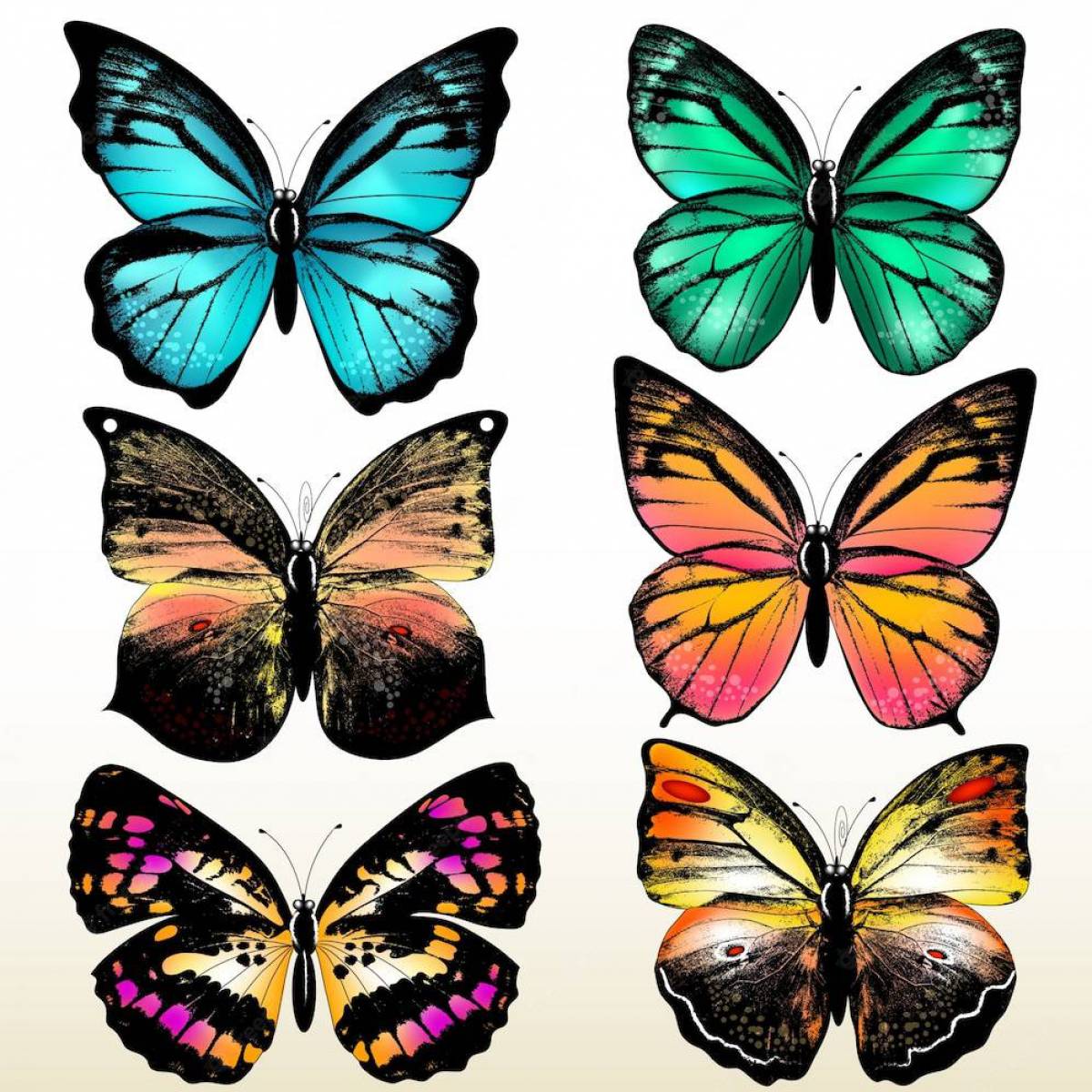 Бабочки много на одном листе #4