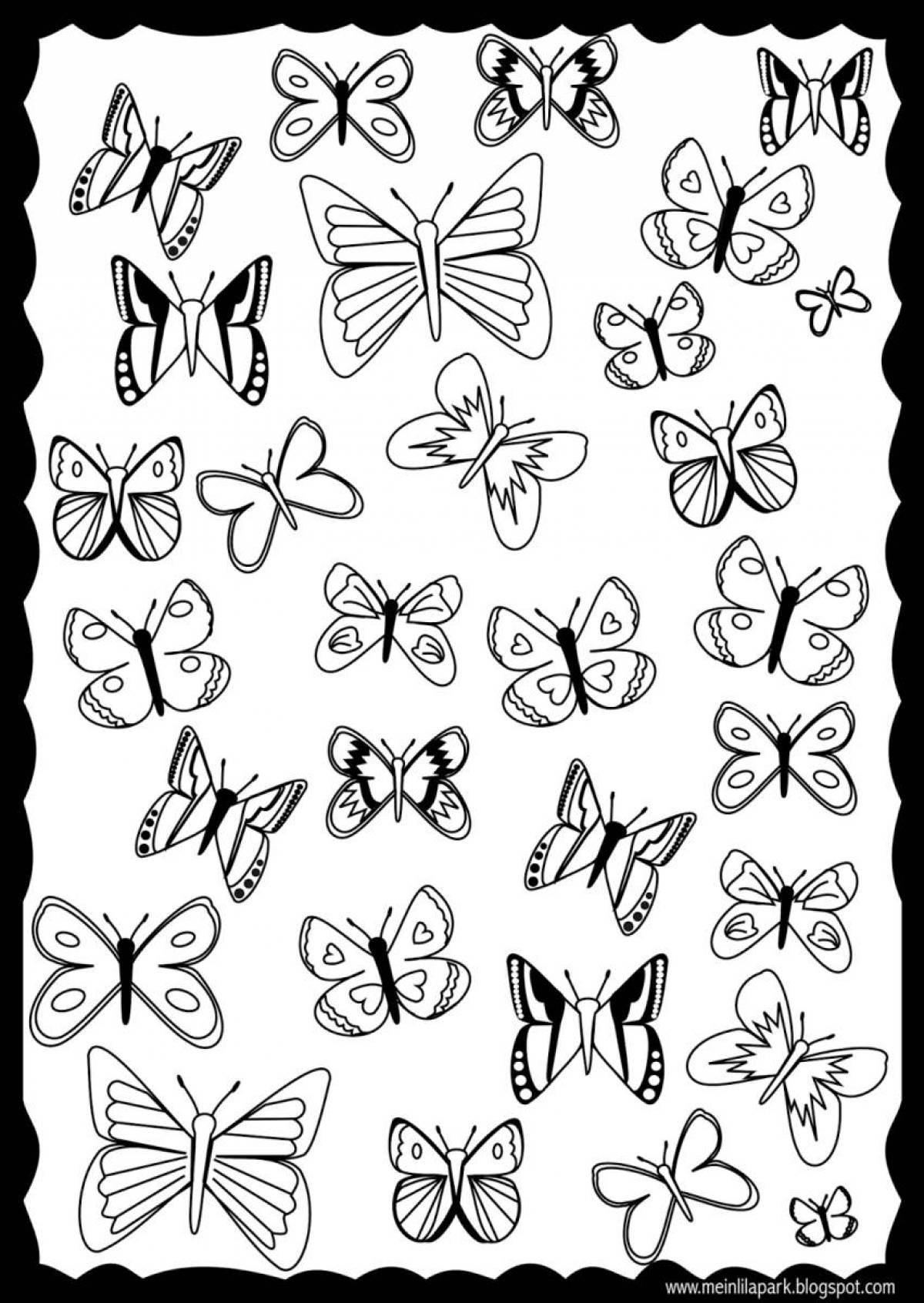 Бабочки много на одном листе #8