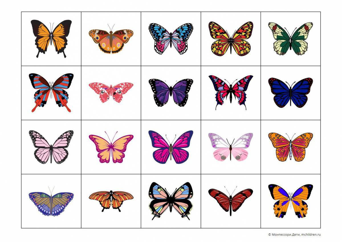 Бабочки много на одном листе #10