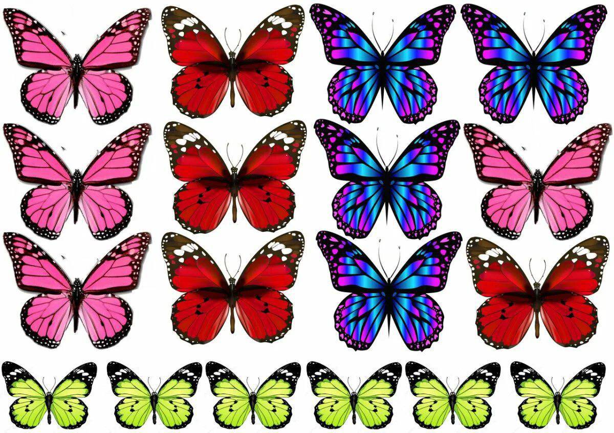 Бабочки много на одном листе #11