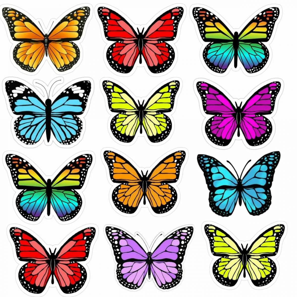 картинки бабочки много на листе