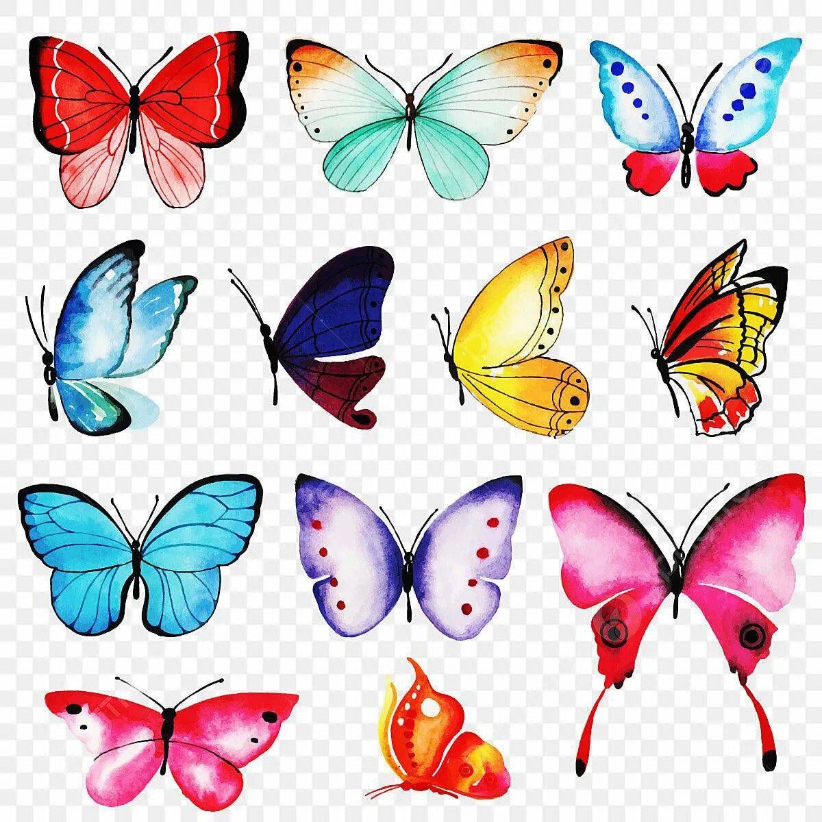 Бабочки много на одном листе #15