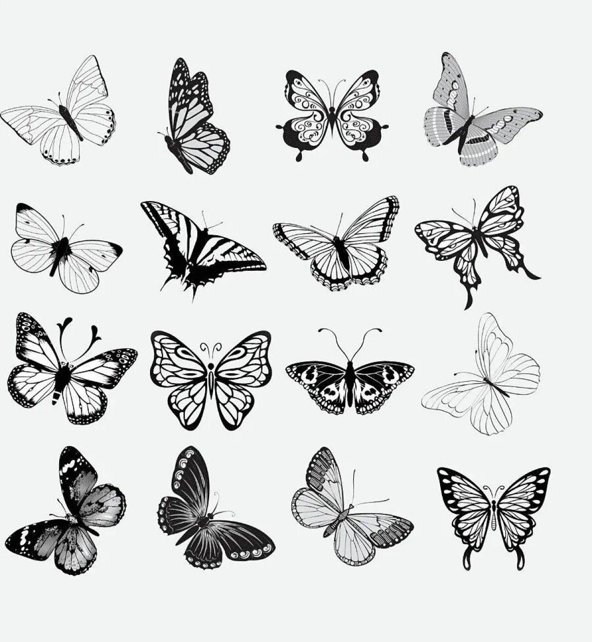 Бабочки много на одном листе #21