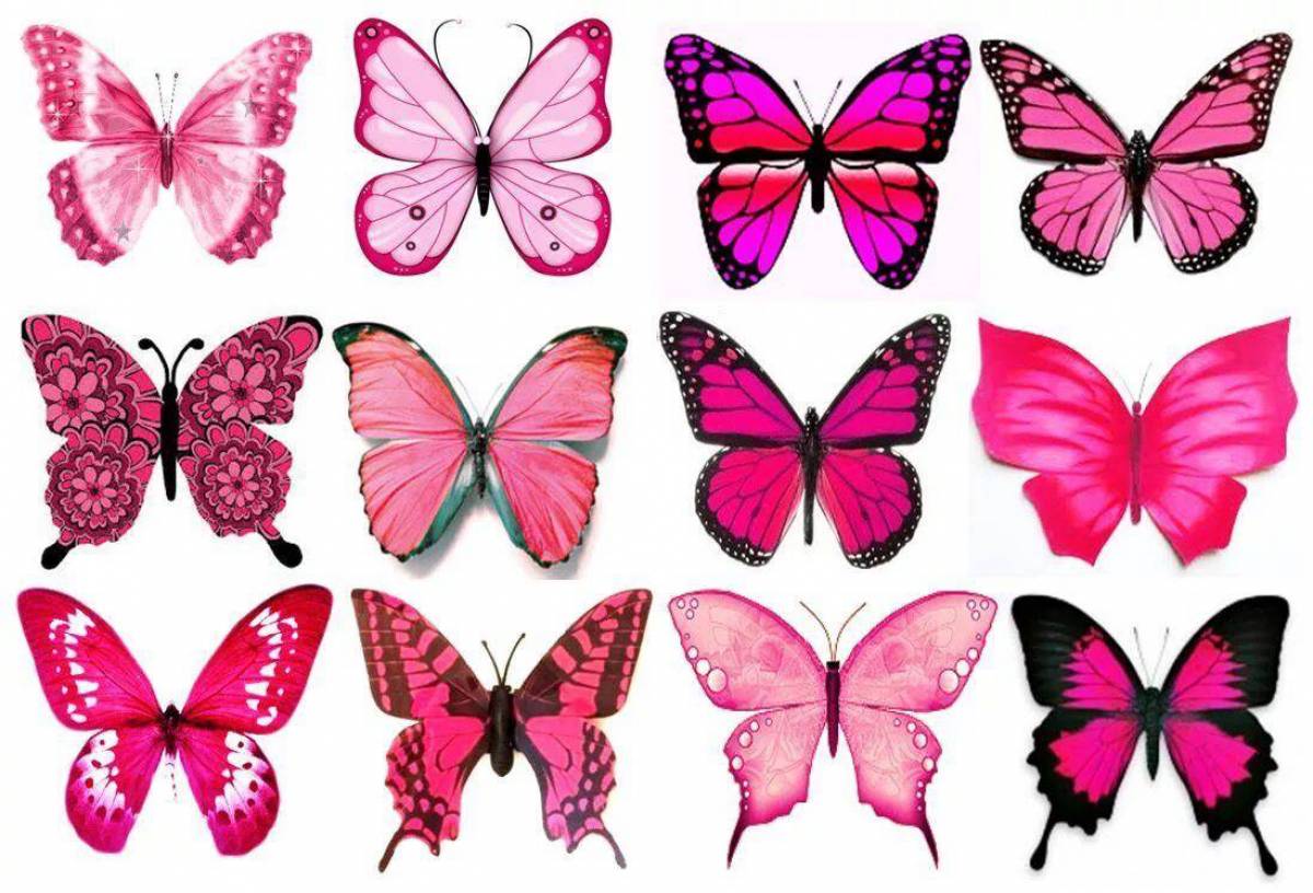 Бабочки много на одном листе #22