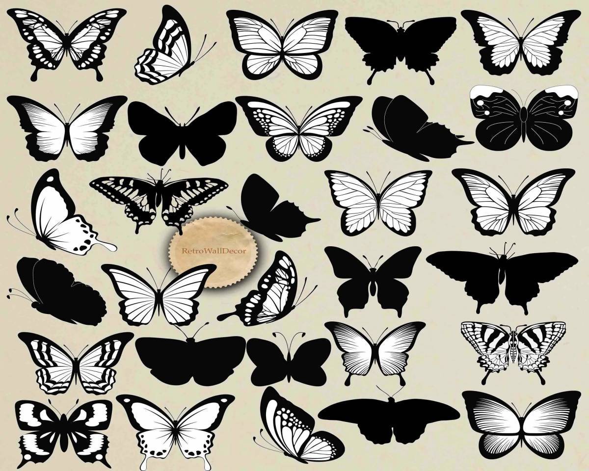 Бабочки много на одном листе #24
