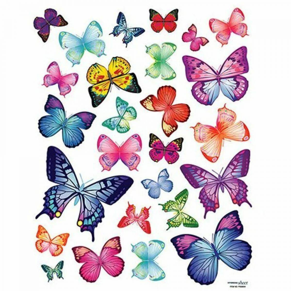 Бабочки много на одном листе #26