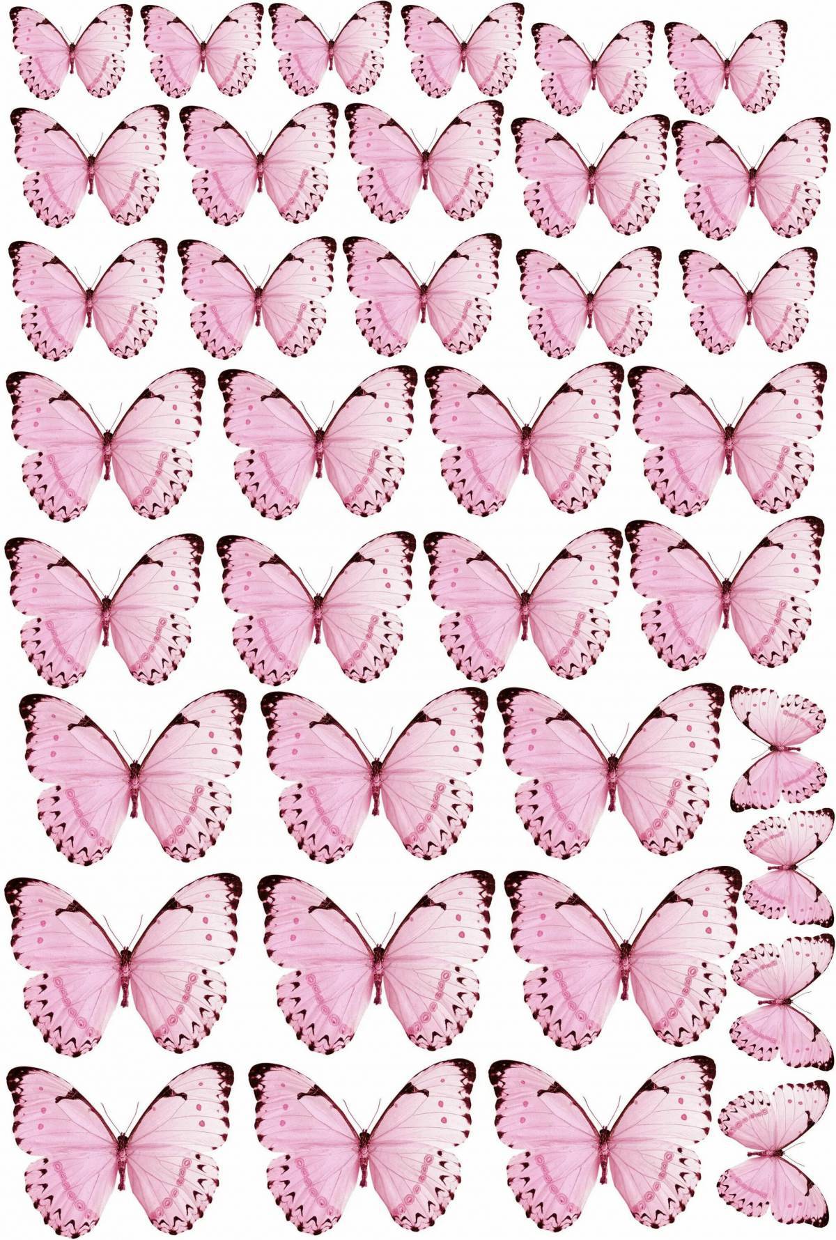 Бабочки много на одном листе #28