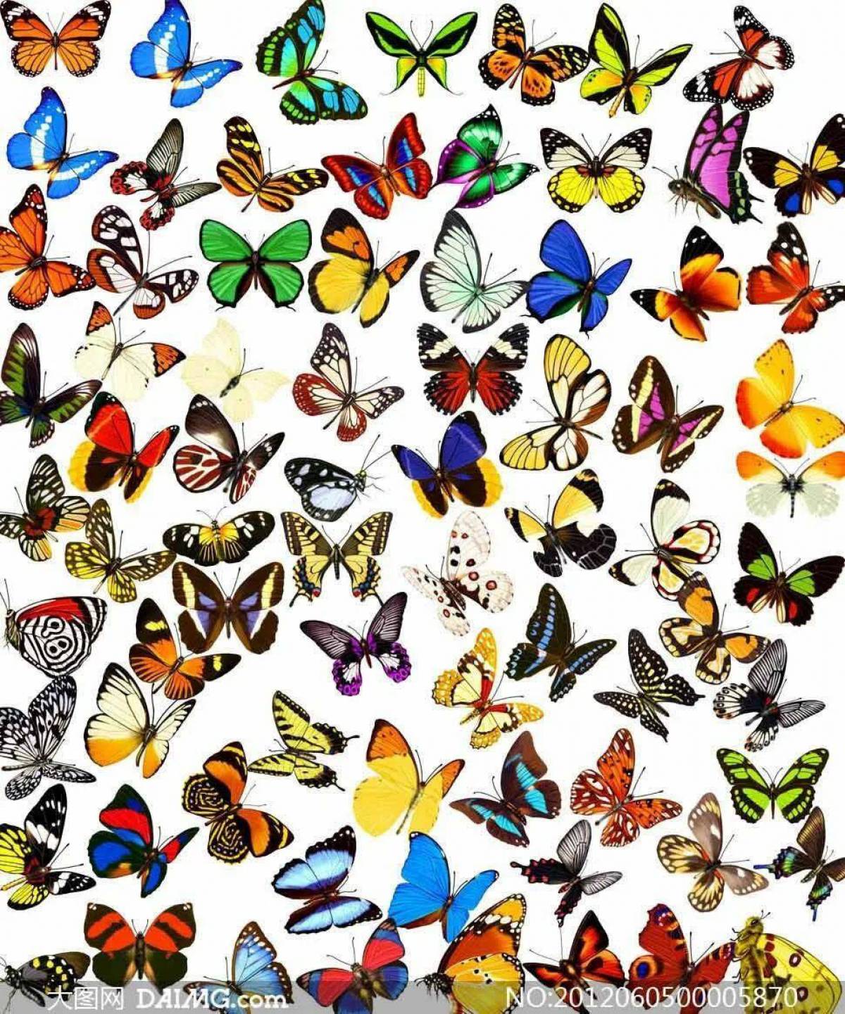 Бабочки много на одном листе #32