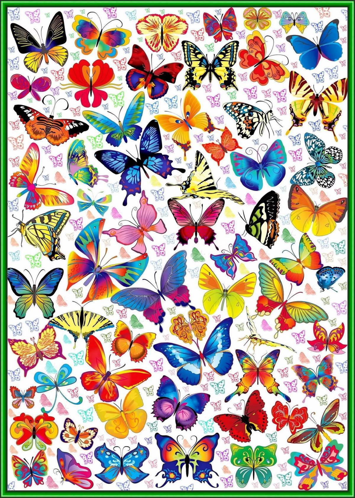 Бабочки много на одном листе #34