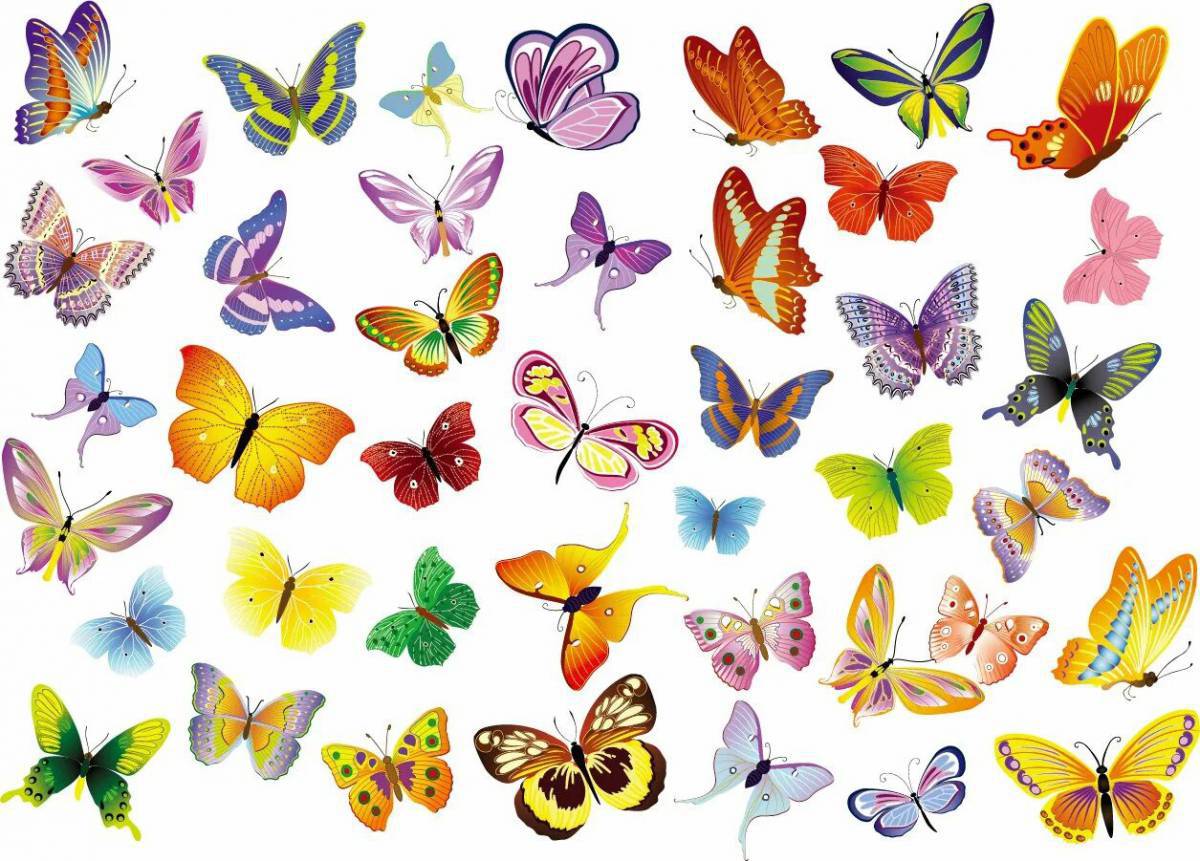 Бабочки много на одном листе #36