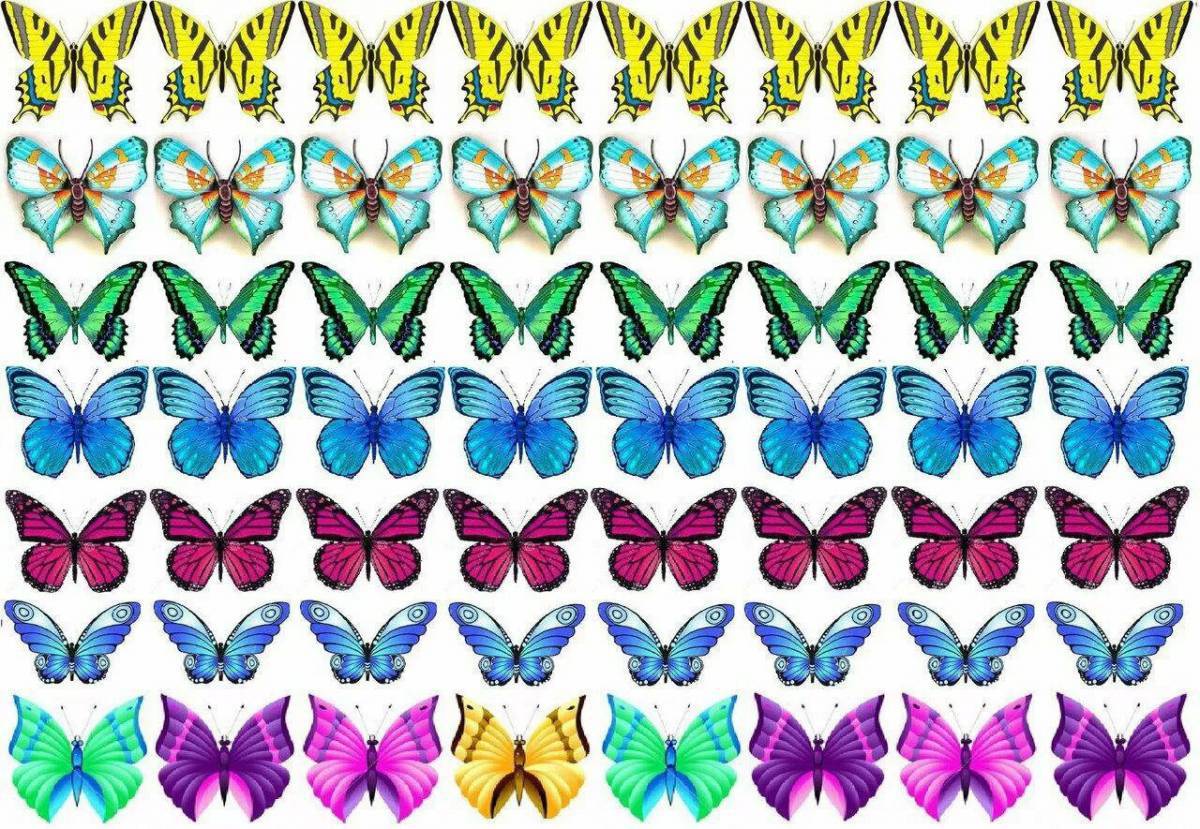 Бабочки много на одном листе #37