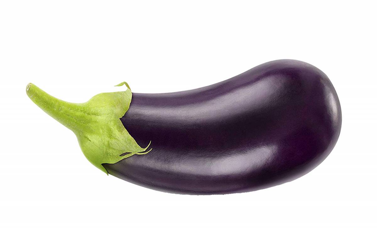 Eggplant баклажан Nord