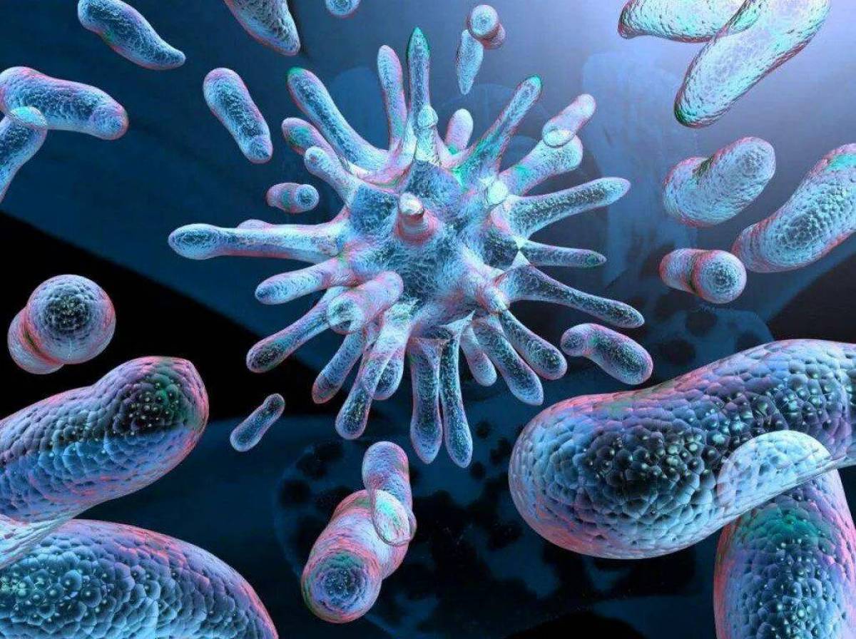 Бактерии #1