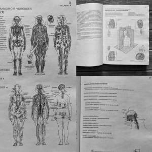 Раскраска атлас физиология человека #16 #208157