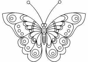 Раскраска бабочка для детей 2 3 лет #29 #209268