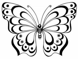 Раскраска бабочка контур #2 #209354
