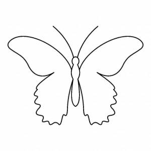 Раскраска бабочка контур #3 #209355