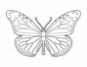 Раскраска бабочка контур #4 #209356