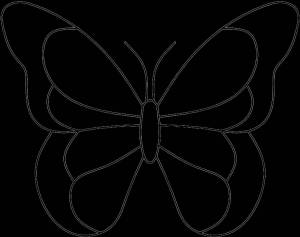 Раскраска бабочка контур #15 #209367