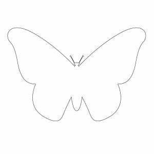 Раскраска бабочка контур #22 #209374