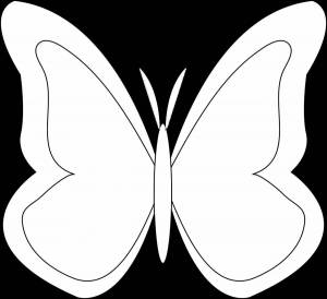 Раскраска бабочка контур #23 #209375