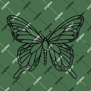 Раскраска бабочка контур #34 #209386