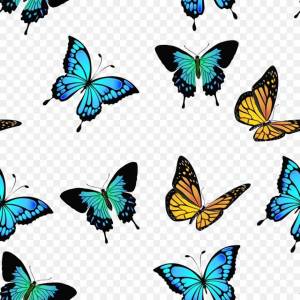Раскраска бабочки маленькие #4 #209463