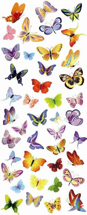 Раскраска бабочки маленькие #9 #209468