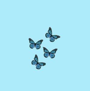 Раскраска бабочки маленькие #10 #209469