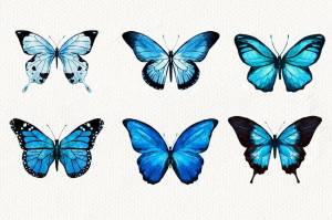 Раскраска бабочки маленькие #13 #209472