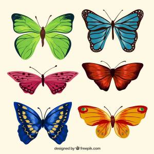 Раскраска бабочки маленькие #14 #209473