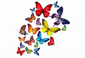 Раскраска бабочки маленькие #25 #209484