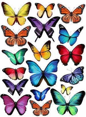 Раскраска бабочки маленькие #28 #209487